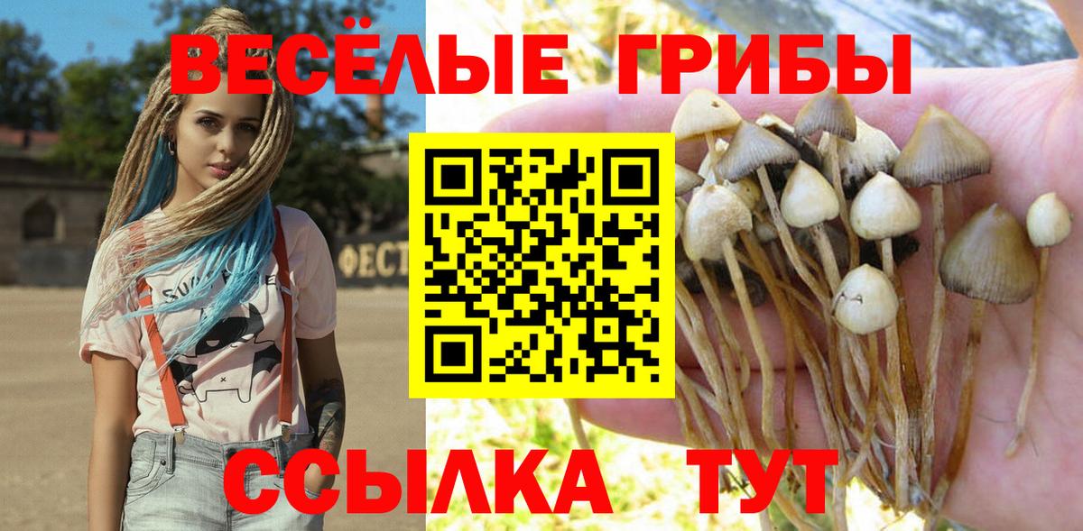 Галлюциногенные грибы мухоморы Энгельс