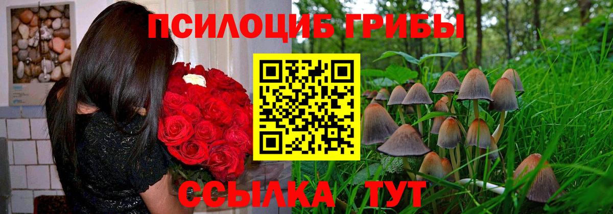 Энгельс  Псилоцибиновые грибы мицелий  Вход с VPN 